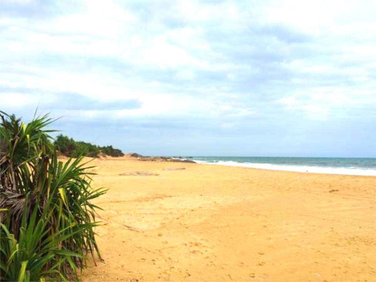 Nikara Yala Beach Villas - Srilanka Kirinda  Exterior photo